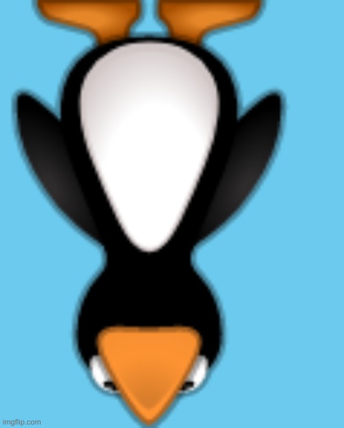 What is that above me LuLu | image tagged in what is that above me lulu | made w/ Imgflip meme maker