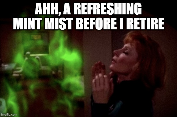Beverly Boffs a Ghost | AHH, A REFRESHING MINT MIST BEFORE I RETIRE | image tagged in star trek the next generation,crusher | made w/ Imgflip meme maker