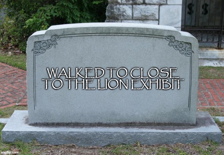 well now we know | WALKED TO CLOSE TO THE LION EXHIBIT | image tagged in gravestone,memes,funny | made w/ Imgflip meme maker