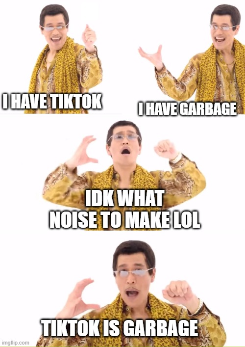 idk what to put for the noise | I HAVE TIKTOK; I HAVE GARBAGE; IDK WHAT NOISE TO MAKE LOL; TIKTOK IS GARBAGE | image tagged in memes,ppap | made w/ Imgflip meme maker