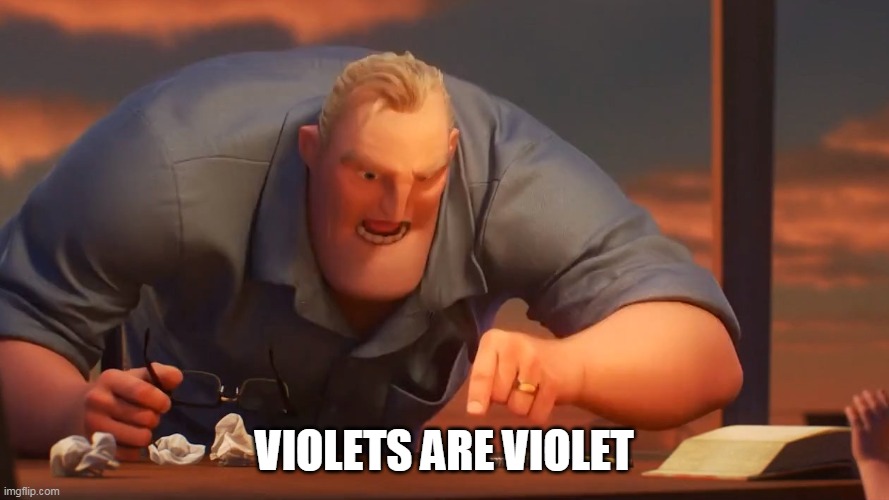 Blank is Blank | VIOLETS ARE VIOLET | image tagged in blank is blank | made w/ Imgflip meme maker