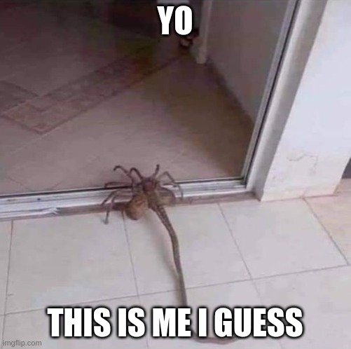 spooder | YO THIS IS ME I GUESS | image tagged in spooder | made w/ Imgflip meme maker