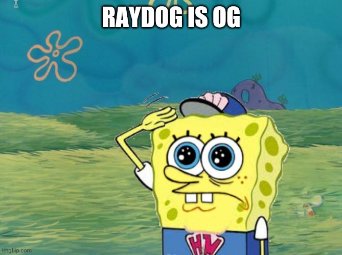 Spongebob salute | RAYDOG IS OG | image tagged in spongebob salute | made w/ Imgflip meme maker