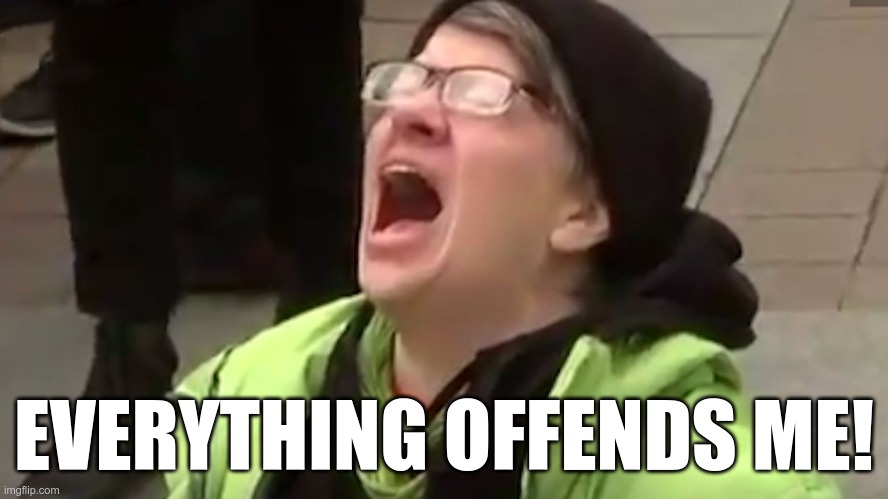 Screaming Liberal  | EVERYTHING OFFENDS ME! | image tagged in screaming liberal | made w/ Imgflip meme maker