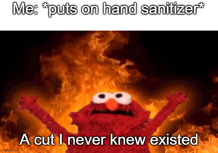 Relatable | Me: *puts on hand sanitizer*; A cut I never knew existed | image tagged in elmo fire,memes,funny | made w/ Imgflip meme maker