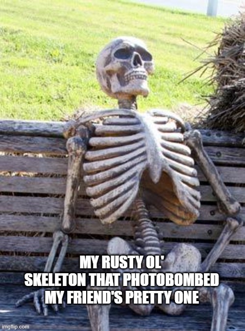 Waiting Skeleton Meme | MY RUSTY OL' SKELETON THAT PHOTOBOMBED MY FRIEND'S PRETTY ONE | image tagged in memes,waiting skeleton | made w/ Imgflip meme maker
