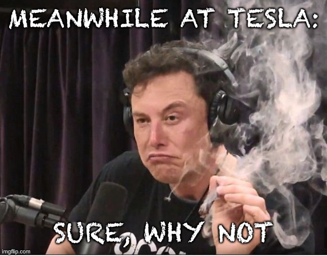 Elon Musk smoking a joint | MEANWHILE AT TESLA: SURE, WHY NOT | image tagged in elon musk smoking a joint | made w/ Imgflip meme maker