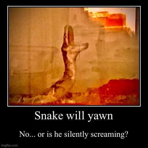 image tagged in funny,snake | made w/ Imgflip demotivational maker