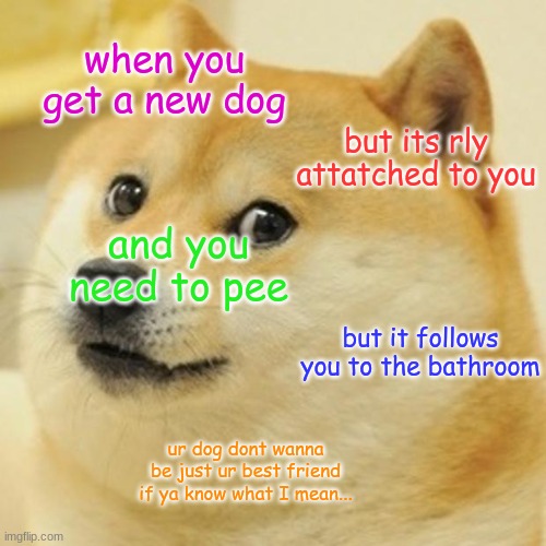 Doge Meme | when you get a new dog; but its rly attatched to you; and you need to pee; but it follows you to the bathroom; ur dog dont wanna be just ur best friend if ya know what I mean... | image tagged in memes,doge | made w/ Imgflip meme maker