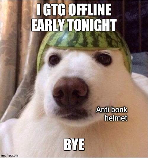 Anti bonk helmet | I GTG OFFLINE EARLY TONIGHT; BYE | image tagged in anti bonk helmet | made w/ Imgflip meme maker