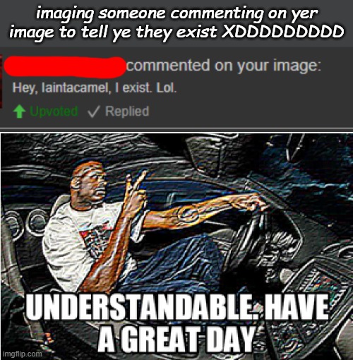 imaging someone commenting on yer image to tell ye they exist XDDDDDDDDD | image tagged in understandable have a great day | made w/ Imgflip meme maker