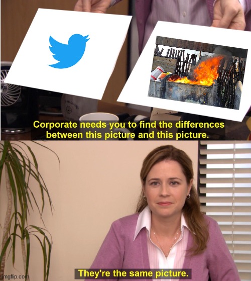 They're The Same Picture | image tagged in memes,they're the same picture | made w/ Imgflip meme maker