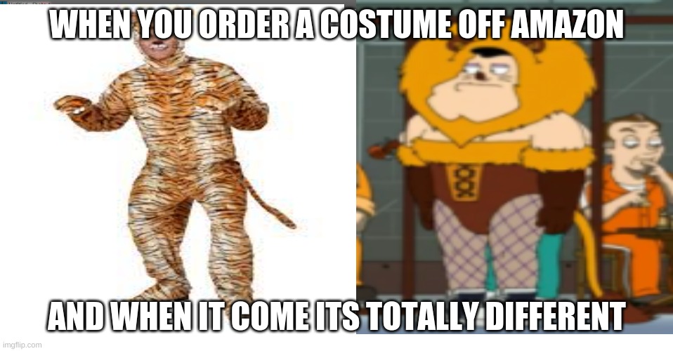 APPLETHEMEMEGOD | WHEN YOU ORDER A COSTUME OFF AMAZON; AND WHEN IT COME ITS TOTALLY DIFFERENT | image tagged in funny,american dad | made w/ Imgflip meme maker