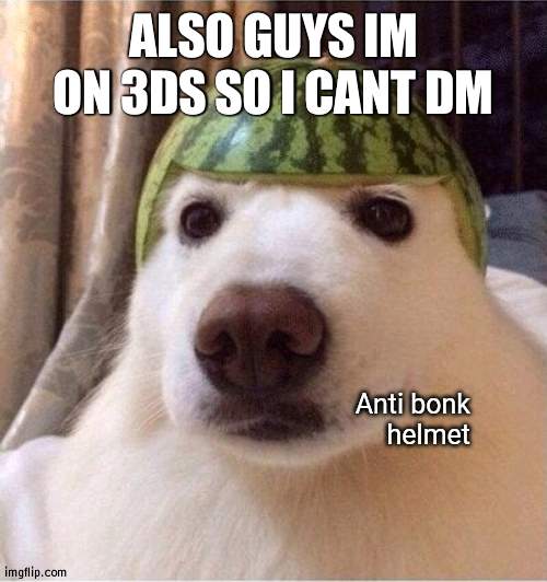 Anti bonk helmet | ALSO GUYS IM ON 3DS SO I CANT DM | image tagged in anti bonk helmet | made w/ Imgflip meme maker