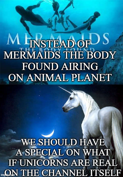 speculative special meme | INSTEAD OF MERMAIDS THE BODY FOUND AIRING ON ANIMAL PLANET; WE SHOULD HAVE A SPECIAL ON WHAT IF UNICORNS ARE REAL ON THE CHANNEL ITSELF | image tagged in animal planet,unicorns | made w/ Imgflip meme maker