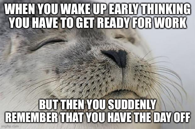 Sometimes | WHEN YOU WAKE UP EARLY THINKING YOU HAVE TO GET READY FOR WORK; BUT THEN YOU SUDDENLY REMEMBER THAT YOU HAVE THE DAY OFF | image tagged in memes,satisfied seal,work,alarm clock,day off | made w/ Imgflip meme maker