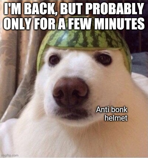 Anti bonk helmet | I'M BACK, BUT PROBABLY ONLY FOR A FEW MINUTES | image tagged in anti bonk helmet | made w/ Imgflip meme maker