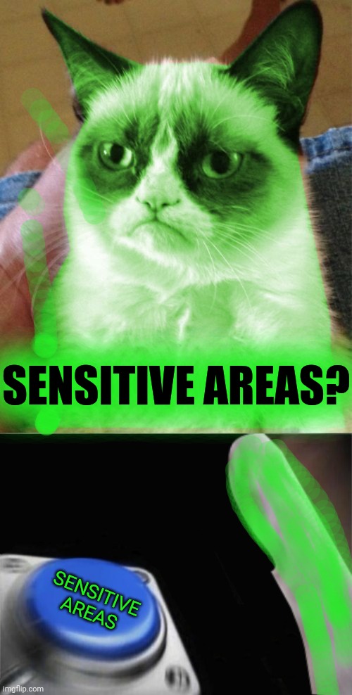 SENSITIVE AREAS? SENSITIVE AREAS | image tagged in radioactive grumpy,grumpy cat blank nut button | made w/ Imgflip meme maker
