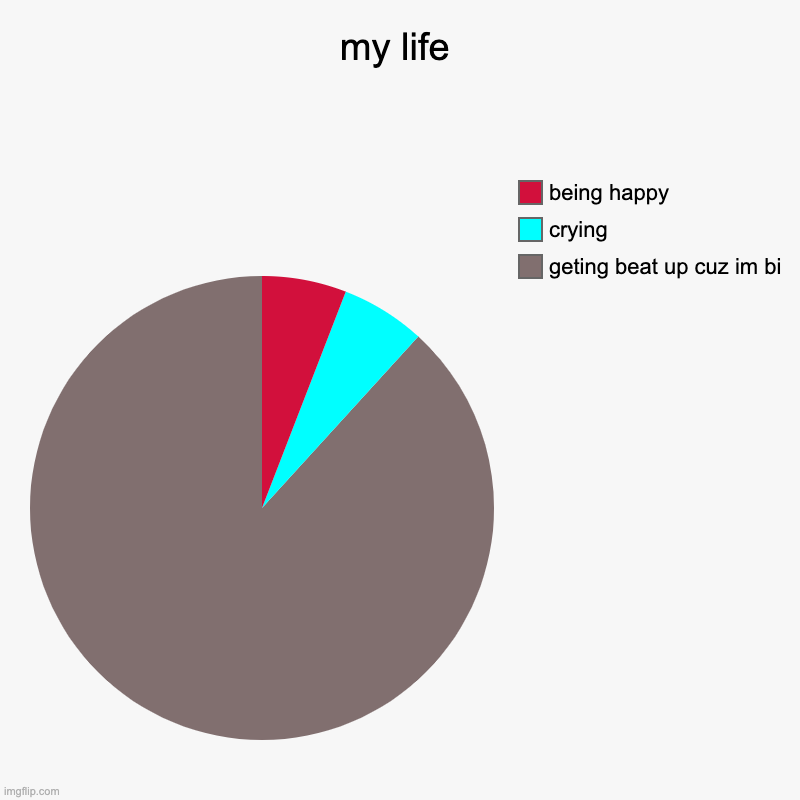 my life | geting beat up cuz im bi, crying, being happy | image tagged in charts,pie charts | made w/ Imgflip chart maker