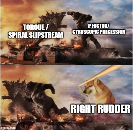 Kong Godzilla Doge | P FACTOR/ GYROSCOPIC PRECESSION; TORQUE /
SPIRAL SLIPSTREAM; RIGHT RUDDER | image tagged in kong godzilla doge | made w/ Imgflip meme maker