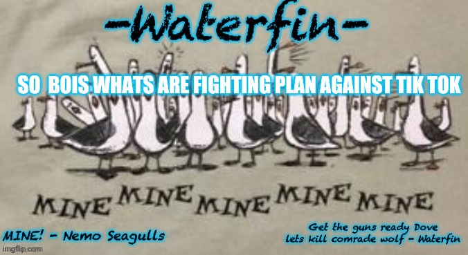 Waterfins Template | SO  BOIS WHATS ARE FIGHTING PLAN AGAINST TIK TOK | image tagged in waterfins template | made w/ Imgflip meme maker