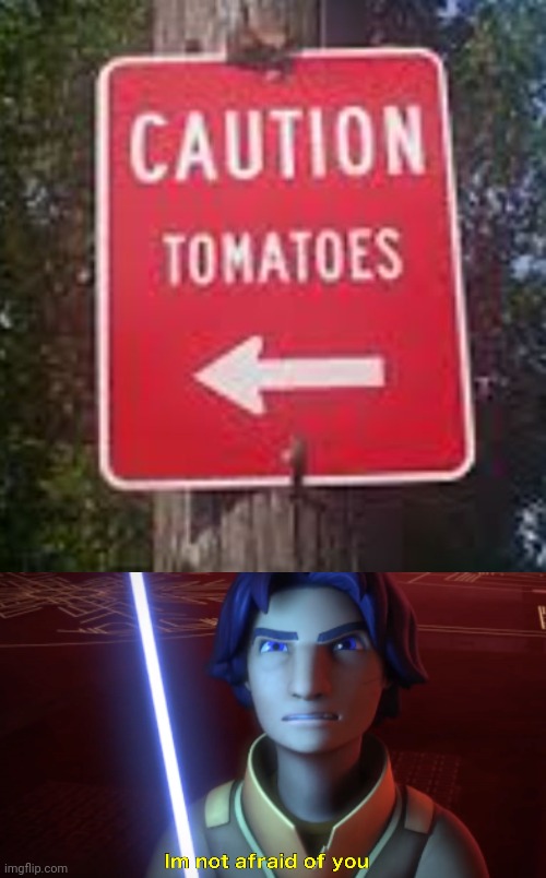 image tagged in im not afraid of you | made w/ Imgflip meme maker