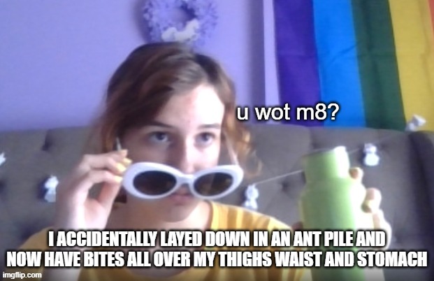 I ACCIDENTALLY LAYED DOWN IN AN ANT PILE AND NOW HAVE BITES ALL OVER MY THIGHS WAIST AND STOMACH | image tagged in rose u wot m8 | made w/ Imgflip meme maker