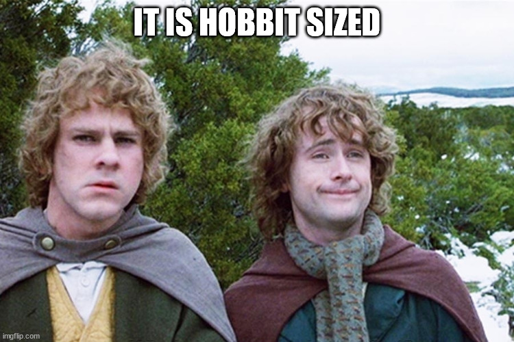 hobbits | IT IS HOBBIT SIZED | image tagged in hobbits | made w/ Imgflip meme maker
