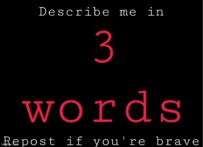 Desc Me In 3 Word | image tagged in desc me in 3 word | made w/ Imgflip meme maker