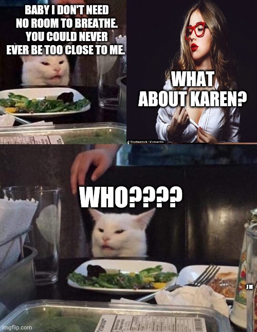 BABY I DON'T NEED NO ROOM TO BREATHE. YOU COULD NEVER EVER BE TOO CLOSE TO ME. WHAT ABOUT KAREN? WHO???? J M | image tagged in reverse smudge and karen,salad cat | made w/ Imgflip meme maker
