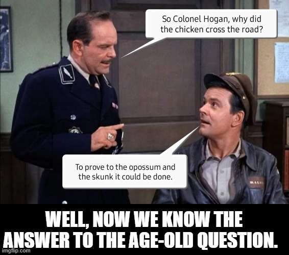 The answer to an age-old question. | WELL, NOW WE KNOW THE ANSWER TO THE AGE-OLD QUESTION. | image tagged in hogan's heroes,bad chicken jokes | made w/ Imgflip meme maker