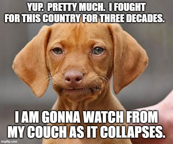 Yup | YUP.  PRETTY MUCH.  I FOUGHT FOR THIS COUNTRY FOR THREE DECADES. I AM GONNA WATCH FROM MY COUCH AS IT COLLAPSES. | image tagged in yup | made w/ Imgflip meme maker