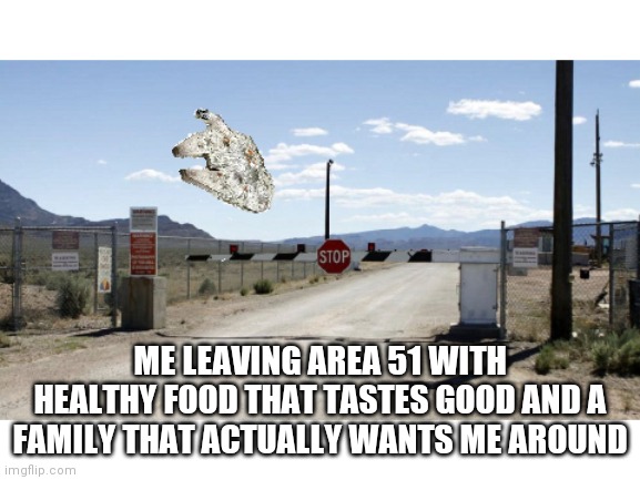 Finally i can feel good now | ME LEAVING AREA 51 WITH HEALTHY FOOD THAT TASTES GOOD AND A FAMILY THAT ACTUALLY WANTS ME AROUND | image tagged in leaving area 51 | made w/ Imgflip meme maker