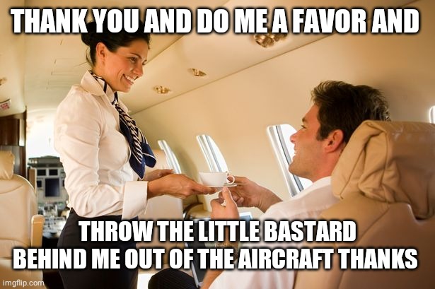stewardess | THANK YOU AND DO ME A FAVOR AND THROW THE LITTLE BASTARD BEHIND ME OUT OF THE AIRCRAFT THANKS | image tagged in stewardess | made w/ Imgflip meme maker