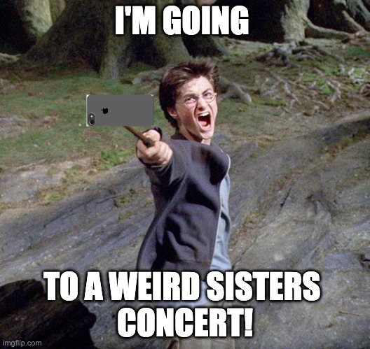 Harry potter | I'M GOING; TO A WEIRD SISTERS 
CONCERT! | image tagged in harry potter | made w/ Imgflip meme maker