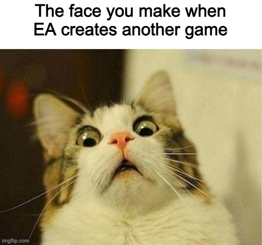 Scared Cat | The face you make when EA creates another game | image tagged in memes,scared cat | made w/ Imgflip meme maker