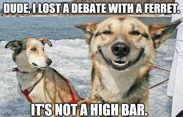 Original Stoner Dog Meme | DUDE, I LOST A DEBATE WITH A FERRET. IT'S NOT A HIGH BAR. | image tagged in memes,original stoner dog | made w/ Imgflip meme maker