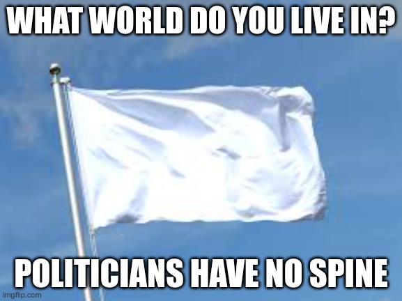 surrender | WHAT WORLD DO YOU LIVE IN? POLITICIANS HAVE NO SPINE | image tagged in surrender | made w/ Imgflip meme maker