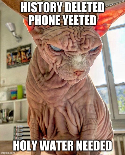 APPLETHEMEMEGOD | HISTORY DELETED PHONE YEETED; HOLY WATER NEEDED | image tagged in cats | made w/ Imgflip meme maker