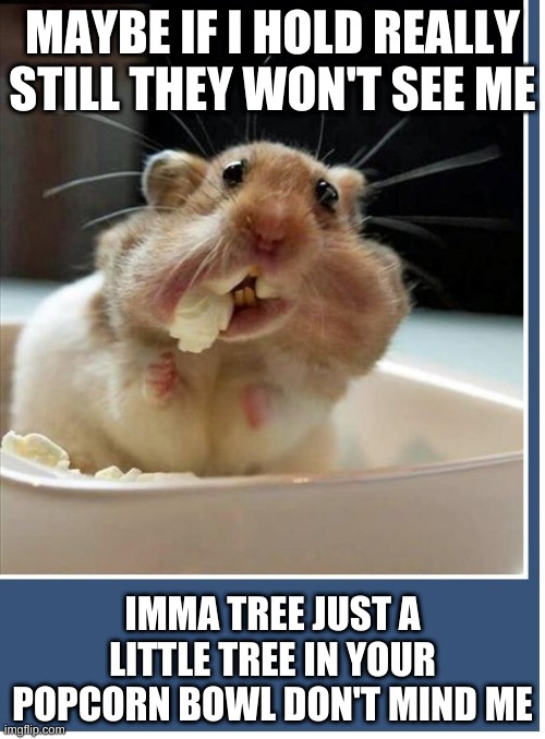 hammy in the poppycorn bowl | MAYBE IF I HOLD REALLY STILL THEY WON'T SEE ME; IMMA TREE JUST A LITTLE TREE IN YOUR POPCORN BOWL DON'T MIND ME | image tagged in hamster in popcorn bowl | made w/ Imgflip meme maker