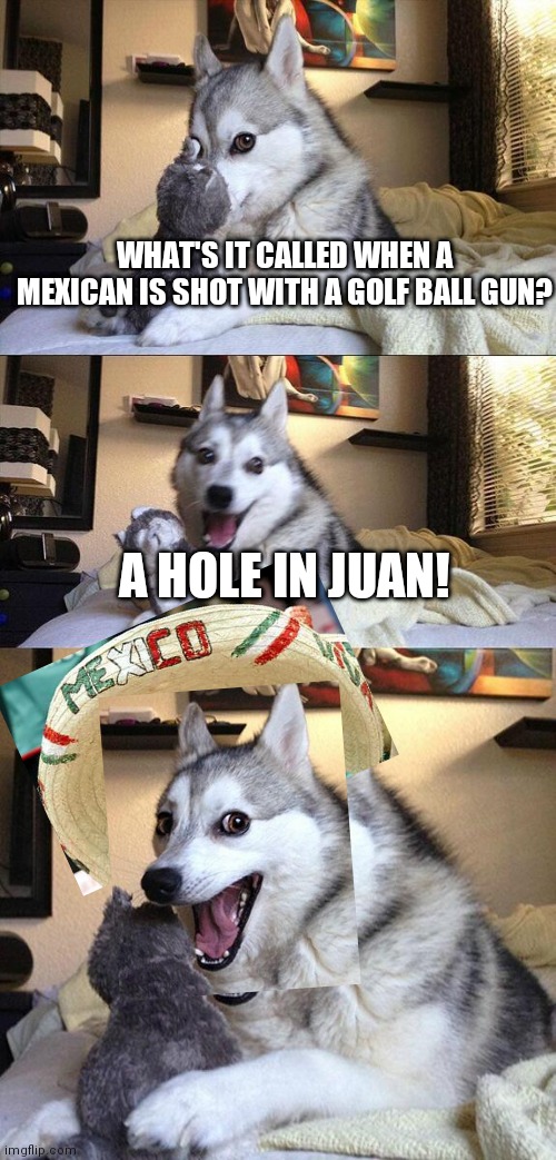 A Hole in Juan!!!! | WHAT'S IT CALLED WHEN A MEXICAN IS SHOT WITH A GOLF BALL GUN? A HOLE IN JUAN! | image tagged in memes,bad pun dog,eyeroll,dad joke,dad joke dog | made w/ Imgflip meme maker