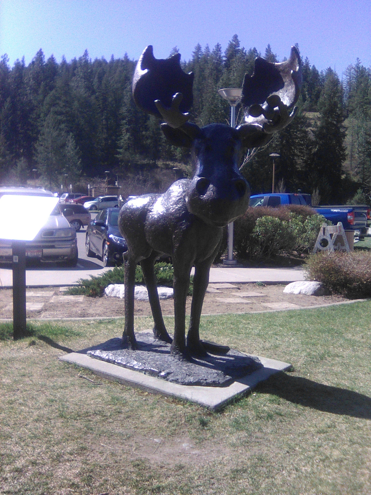 Moose statues we have in CDA | image tagged in share | made w/ Imgflip meme maker