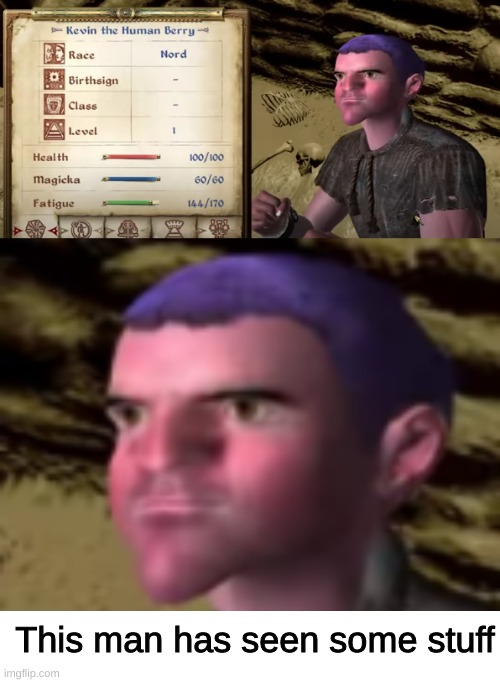 From Elder Scrolls 4 (character made by The Salt Factory) | This man has seen some stuff | image tagged in kevin,the elder scrolls,four,oblivion | made w/ Imgflip meme maker