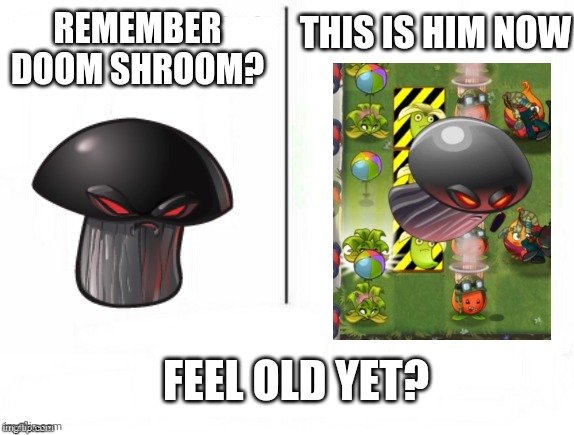 Feel old yet | THIS IS HIM NOW; REMEMBER DOOM SHROOM? FEEL OLD YET? | image tagged in feel old yet | made w/ Imgflip meme maker