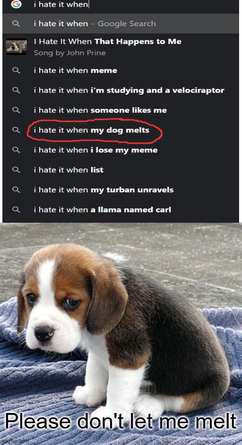 I hate it when my dog melts | Please don't let me melt | image tagged in memes,i hate it when,sad dog | made w/ Imgflip meme maker