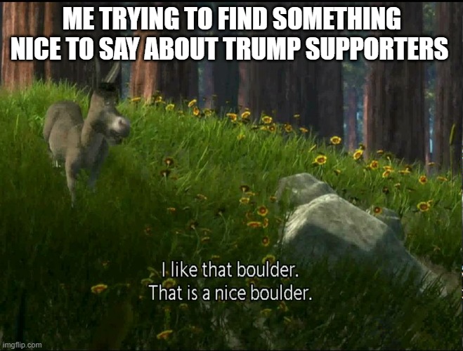 I mean, if they support trump, they support the attack on our capitol... and so many other bad things. | ME TRYING TO FIND SOMETHING NICE TO SAY ABOUT TRUMP SUPPORTERS | image tagged in shrek donkey i like that boulder that is a nice boulder | made w/ Imgflip meme maker