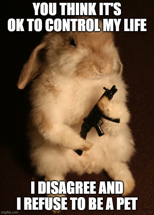 He's part of the Not Hopping Around Crew | YOU THINK IT'S OK TO CONTROL MY LIFE; I DISAGREE AND I REFUSE TO BE A PET | image tagged in bunny with gun,freedom,guns,rights | made w/ Imgflip meme maker