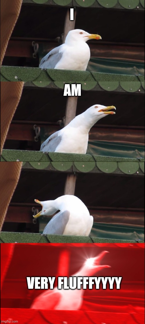 Seagulls have nice feathers | I; AM; VERY FLUFFFYYYY | image tagged in memes,inhaling seagull | made w/ Imgflip meme maker