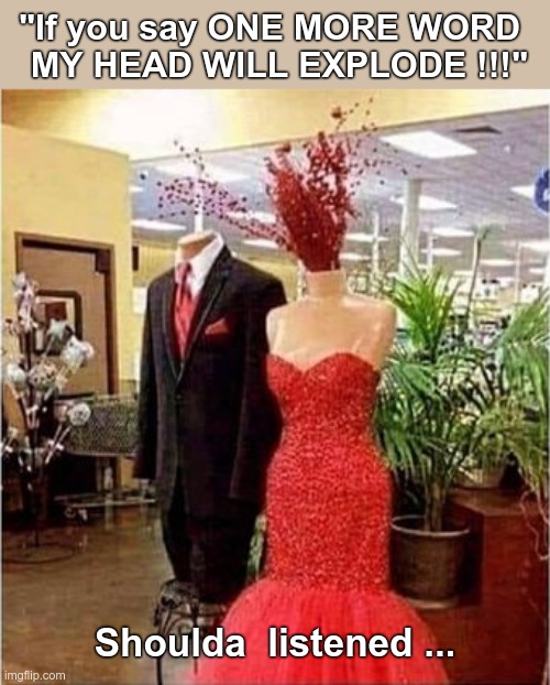 MANSPLAINING 101 | "If you say ONE MORE WORD
  MY HEAD WILL EXPLODE !!!"; Shoulda  listened ... | image tagged in blood spurting gown blood splatter dress,mansplaining,dark humor,rick75230,men and women,oops | made w/ Imgflip meme maker