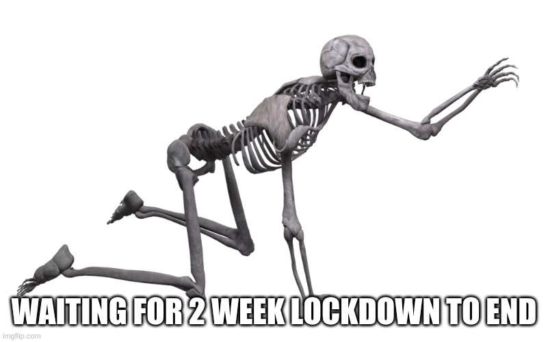2 Week Lockdown | WAITING FOR 2 WEEK LOCKDOWN TO END | image tagged in skeleton | made w/ Imgflip meme maker